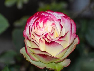 solo 吉他?后来solo吉他