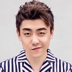 刘心吉他谱