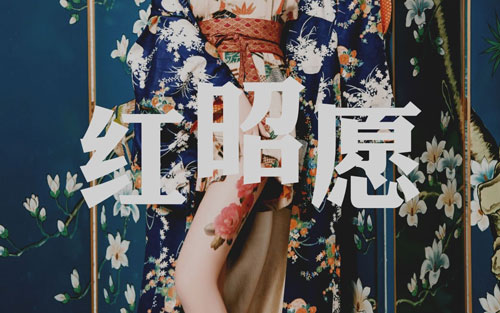 红昭愿吉他谱 D调附演示_大伟吉他教室编配_音厥诗听