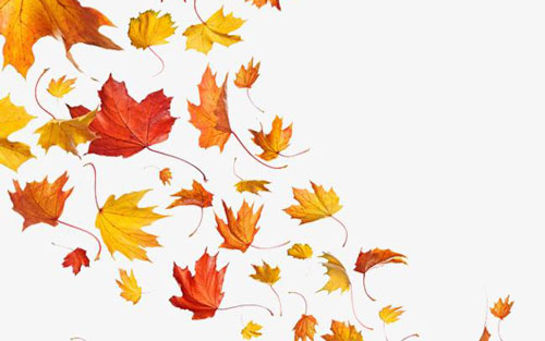 飘指弹吉他谱 D调_叶海吉他教室编配_走音