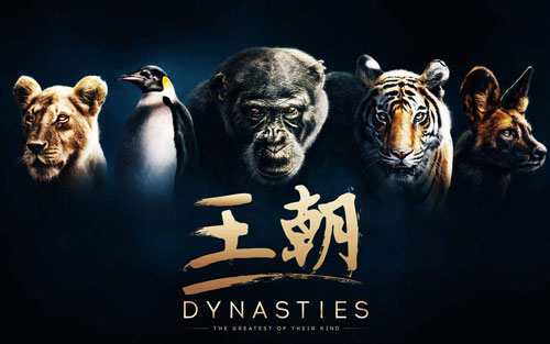 空待吉他谱 A调六线谱_该请版_王朝