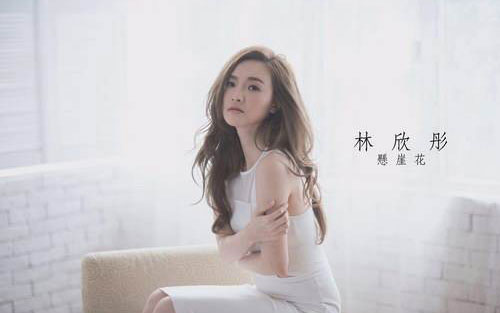 平凡明星吉他谱 C调和弦谱_大树音乐屋编配_林欣彤