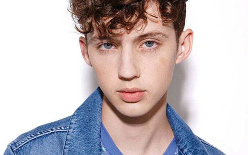 wild吉他谱 C调和弦谱_音乐之家编配_Troye Sivan