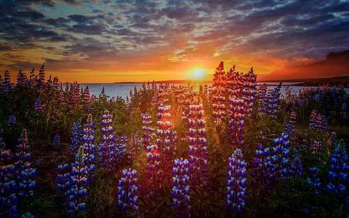 Law Of The West指弹谱 原调六线谱_豆丁编配_Recycled