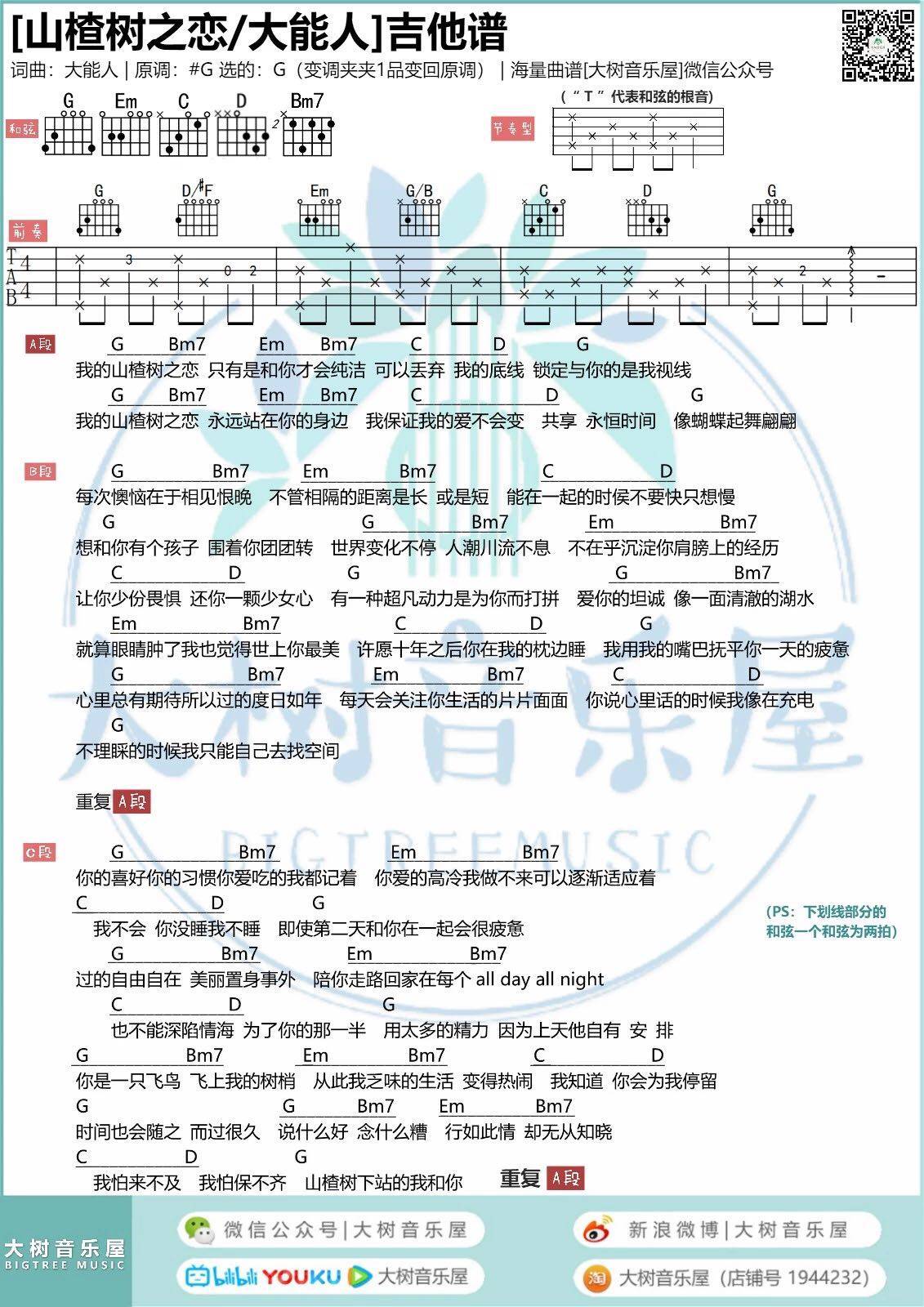 山楂树之恋吉他谱