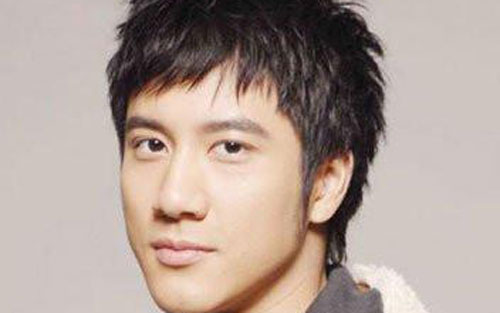 龙的传人吉他谱 C调高清版_17吉他编配_王力宏