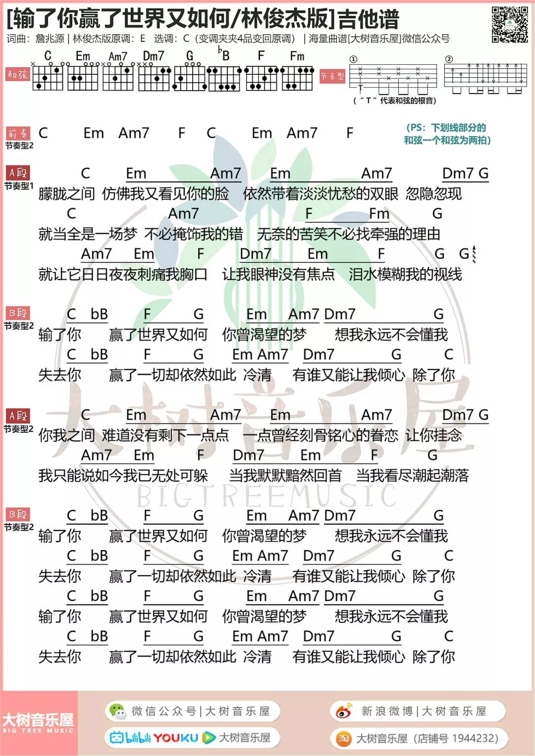 输了你赢了世界又如何吉他谱