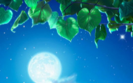 《夏夜晚风》吉他谱 G调弹唱谱_伍佰_大树音乐屋制谱
