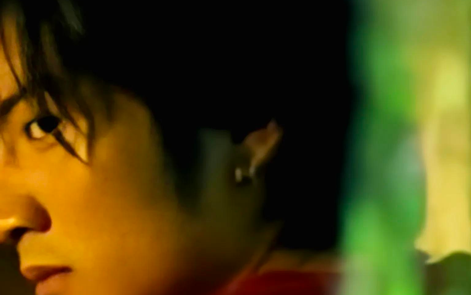 《谢谢你的爱1999》吉他谱G调中级版_酷音小伟编谱_谢霆锋