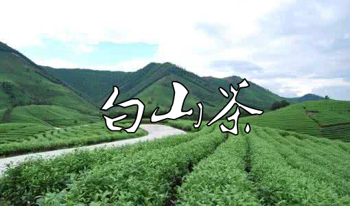 白山茶吉他谱 F调_齐哥吉他编配_变调夹5品_陈雪凝