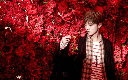 《我们的明天》尤克里里谱弹唱版 G调和弦谱_弹小U的娜娜编配_鹿晗