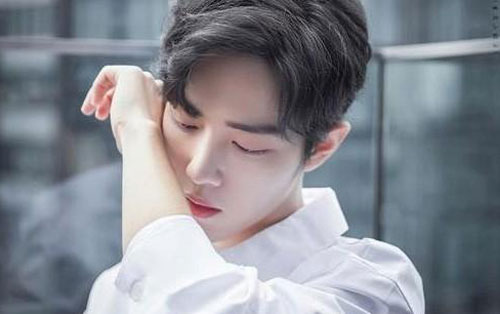 《无羁》尤克里里谱弹唱版 G调附前奏_白熊音乐编配_肖战