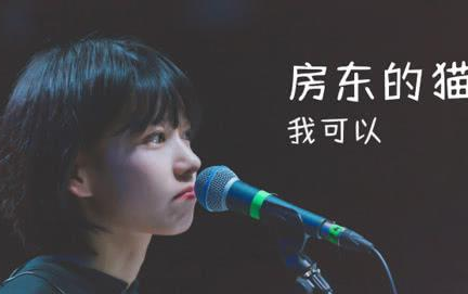 《谈恋爱之前先养猫》尤克里里谱弹唱版 C调和弦谱_趣弹音乐编配_房东的猫