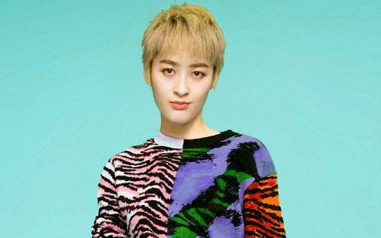 狮子座尤克里里谱 吉他室