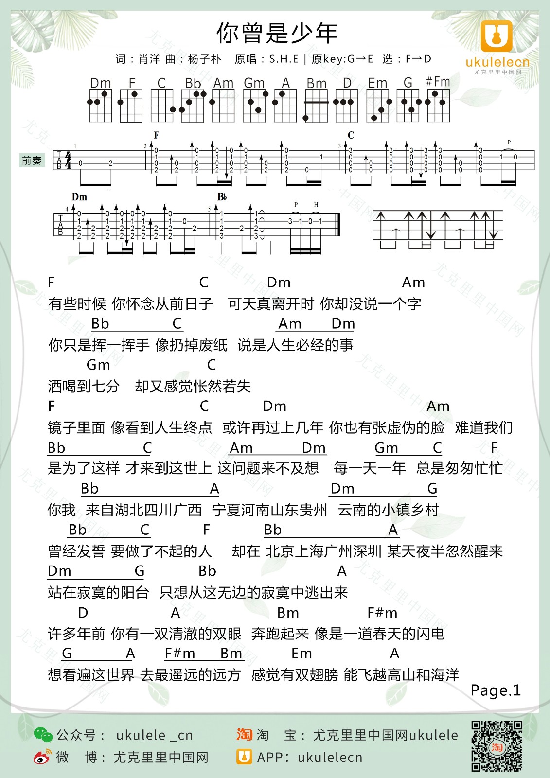 你曾是少年尤克里里谱