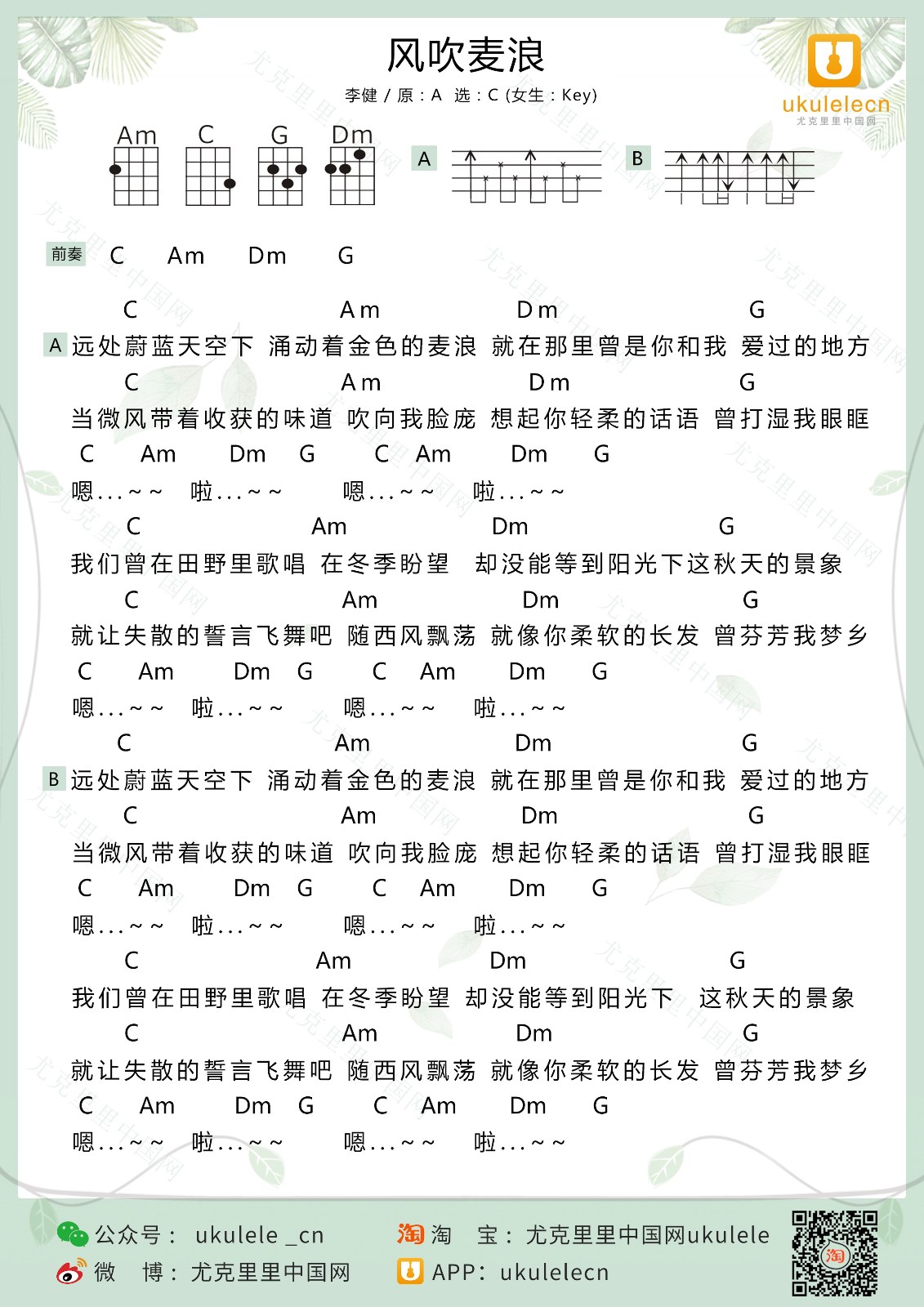 风吹麦浪尤克里里谱